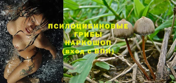 PSILOCYBIN Балахна